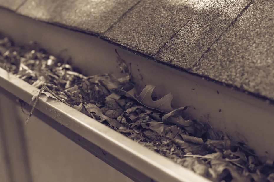 Mapleton Gutter Cleaning