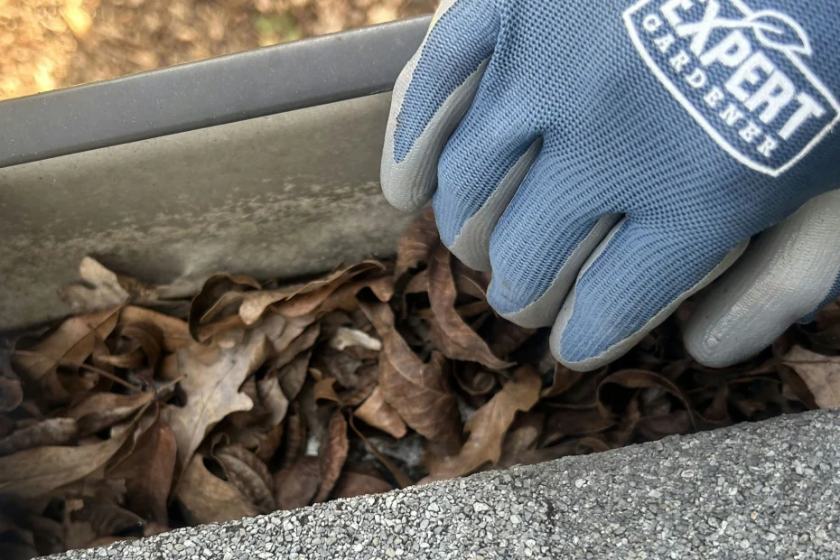 Mapleton Gutter Cleaning