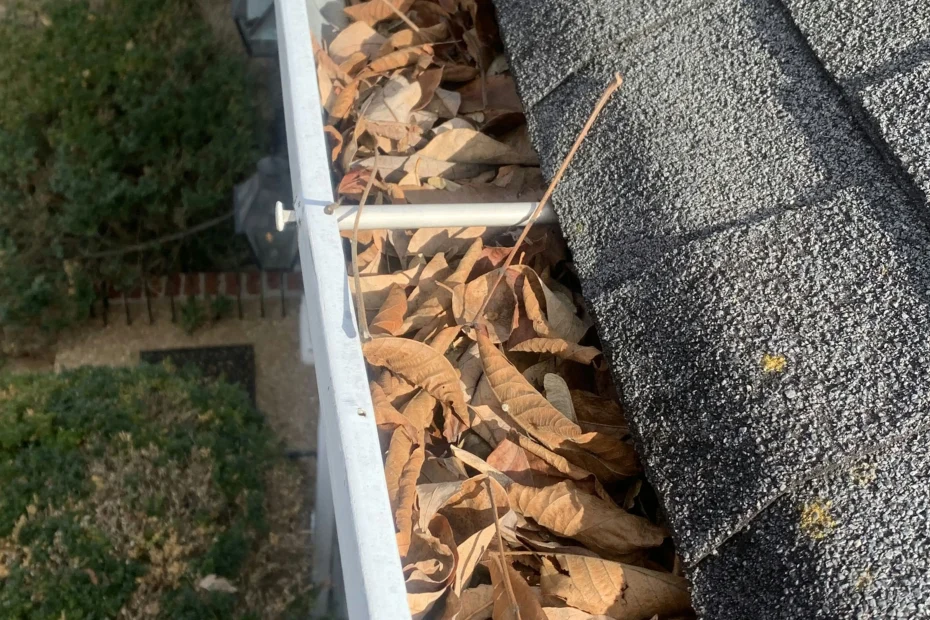 Mapleton Gutter Cleaning